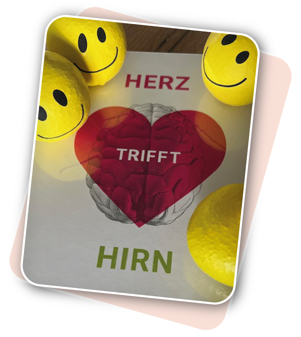 body’n brain 4 Stressbälle liegen auf einem Blatt auf dem Herz trifft Hirn steht